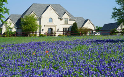 What are the Best Kinds of Dallas Fort Worth Texas Homes to Buy?
