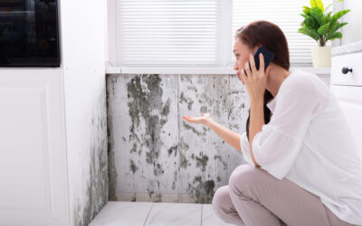 How to Sell Your House with Mold to a Wholesaler